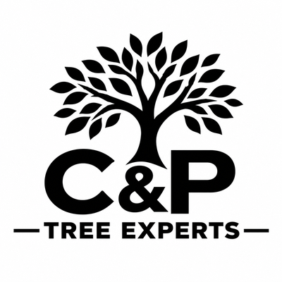 C & P Tree Experts logo